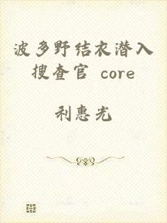 波多野结衣潜入搜查官 core